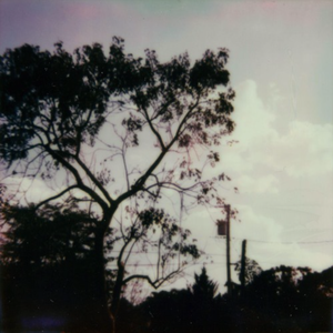 舒淇港片大全免费
